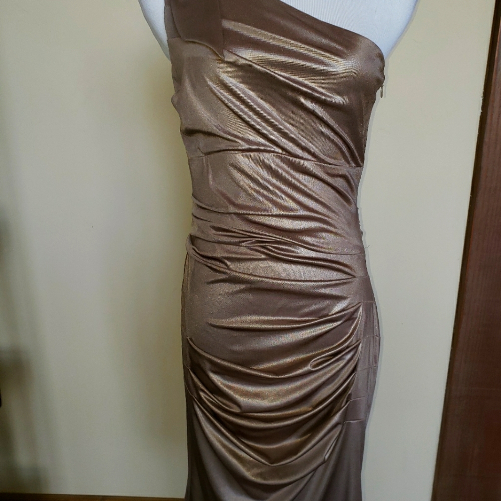 NWT Frank Lyman dress